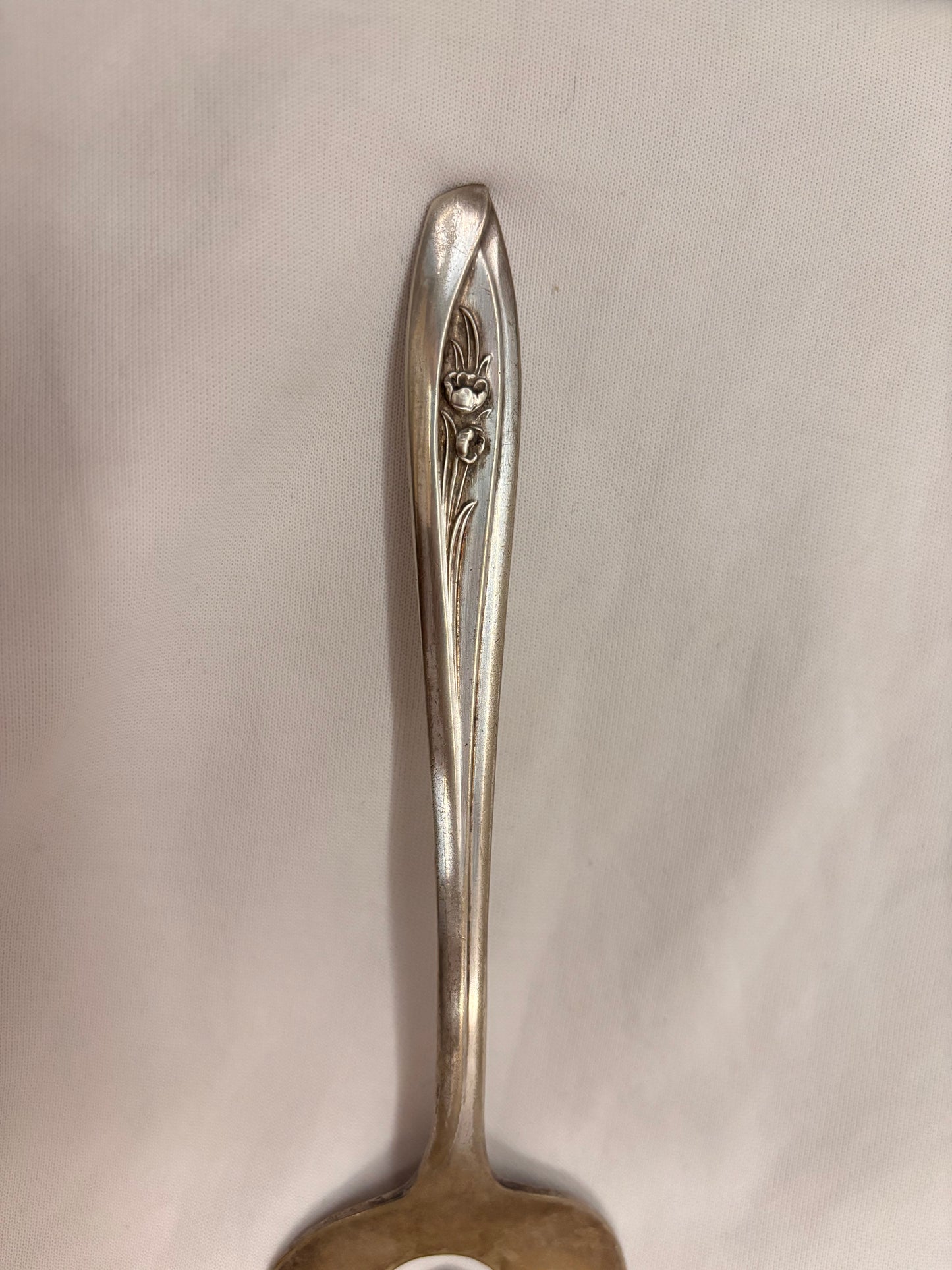 Tulip